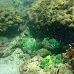 DRK 42nd trip 1-5-12 - P1150238.JPG