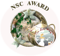 NSC Award 1 NSC Award 1