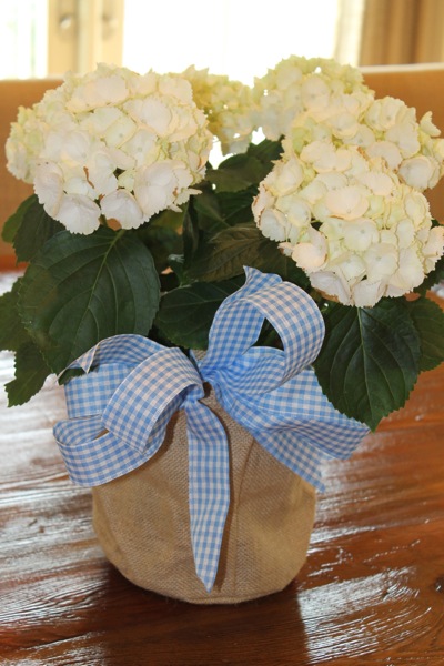 IMG_3156.jpg IMG 3156
