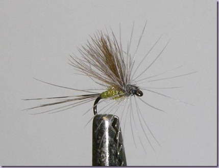 clip_image028 clip_image028