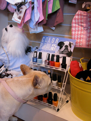 Franny, I love this gold nail polish!