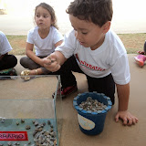 DSC01864.JPG