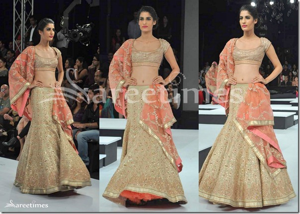 Shantanu_Nikhil_Lehenga_Collection