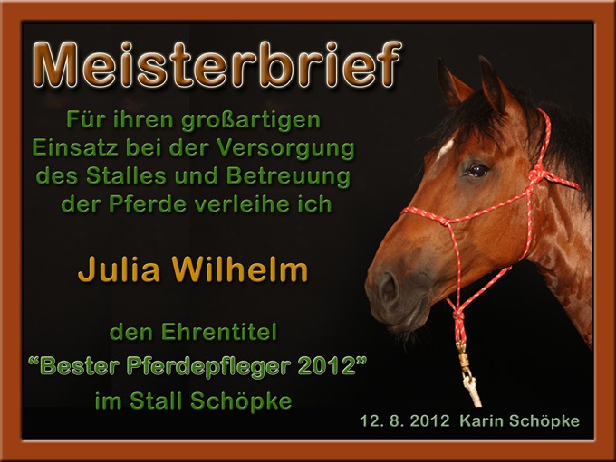 [Urkunde-Julia%255B2%255D.jpg]