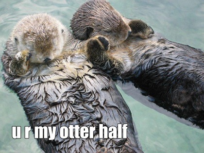my-otter-half