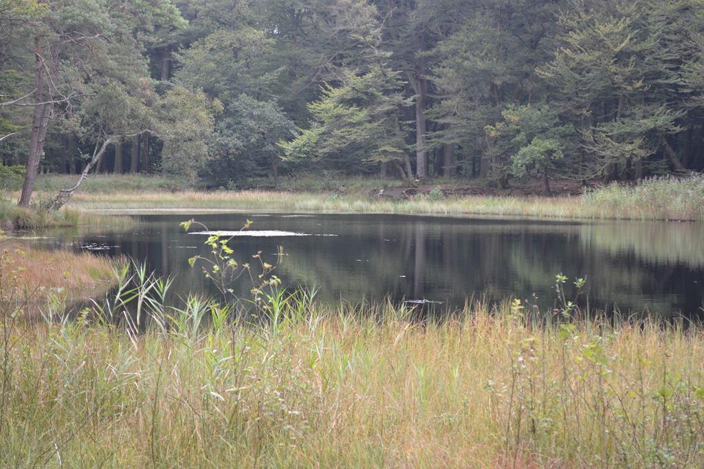 [DSC_0087%255B3%255D.jpg]