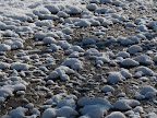 P1000860.JPG