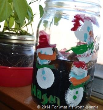 bulb planting in mason jar bulb planting in mason jar