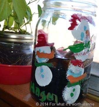 bulb planting in mason jar