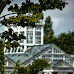 P1190011_1.JPG