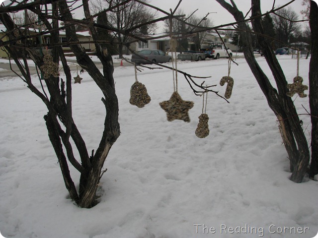 IMG_5584 IMG_5584