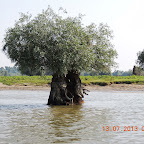 DSCN2507.JPG