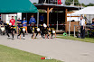 20110717_velke_hostice_033.jpg