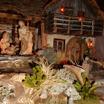 1515-5.JPG