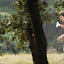 Sprint à Châteaurenard (Pierre Alessandri)