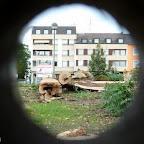 singold-bote_110705153810.jpg