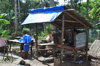 pinoyecofarm december _0118.JPG