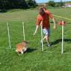 Agility_trenink_10.7.2011_087.jpg