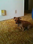 Coco from Culver City