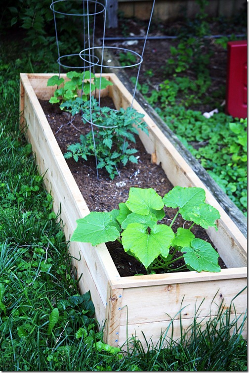 planter3 planter3