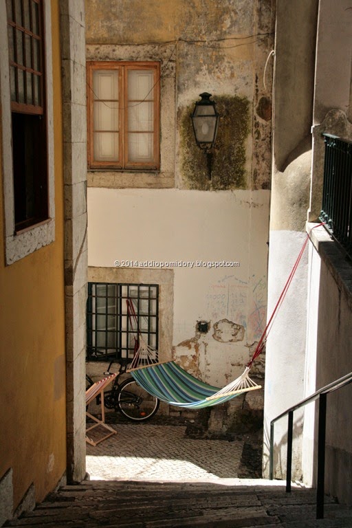 [IMG_7679%255B9%255D.jpg]