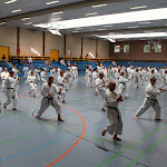 H25D2981.JPG