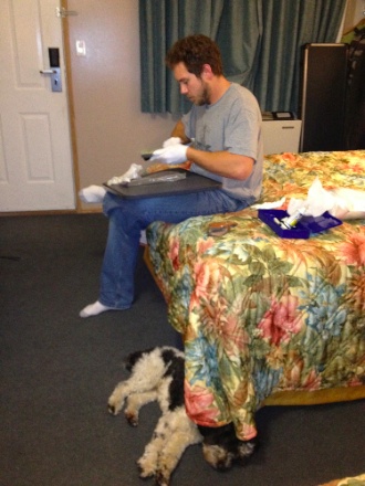 IMG_0094.jpg IMG 0094
