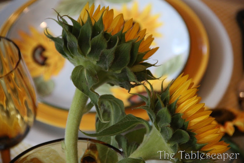 sunflowers 036