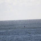 IMG_3173.JPG