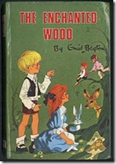 The enchanted wood