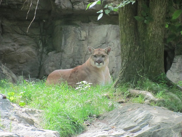 [IMG_8283%255B2%255D.jpg]