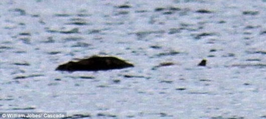 loch-ness-monster loch-ness-monster