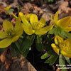 dsc07135.jpg