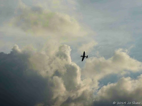 P1100645 P1100645