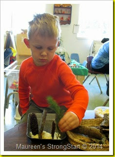 IMG_1385 IMG_1385