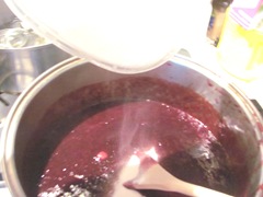 Blackberry jam 1.14.13  pectin andsugar