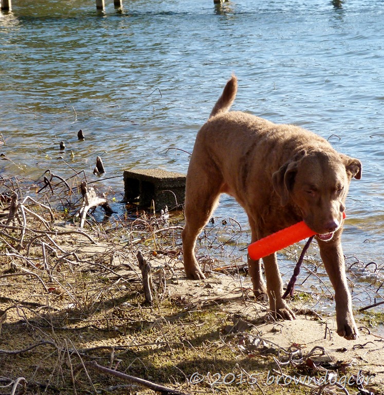 [P1320382%255B9%255D.jpg]