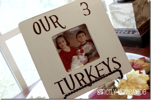 Our 3 Turkeys 2