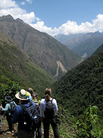 Dry alpine conditions change to lush cloud forest