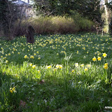 WildlifeGardens WildlifeGardens