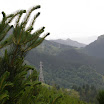 P6140244.JPG