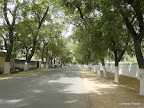 Maroua