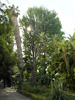 P5280755.JPG
