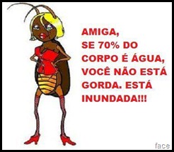 corpo.agua corpo.agua
