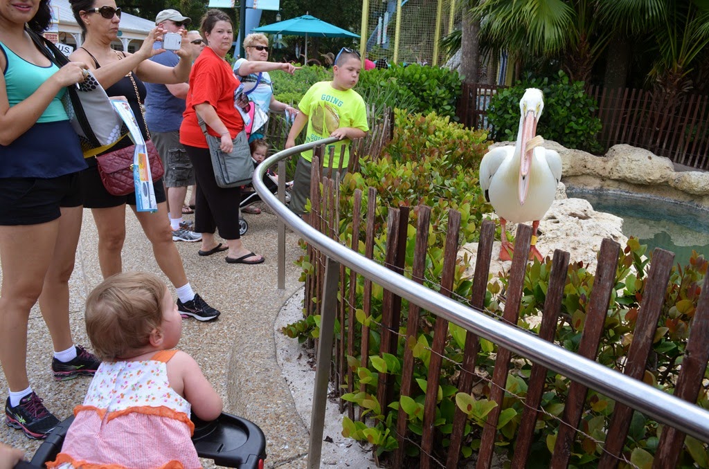 [DSC_8970%255B3%255D.jpg]