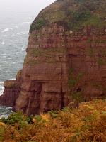 P9303536.JPG