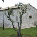 vimg_1889.jpg