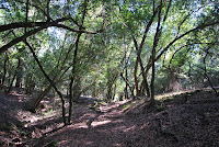 DSC_0779.JPG Photo