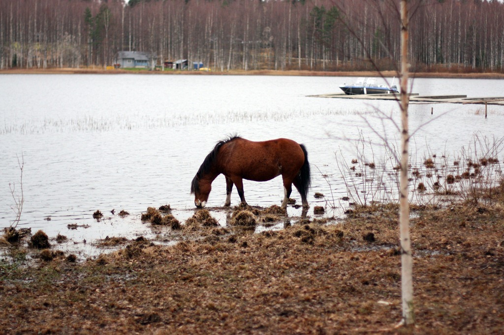 [IMG_4256%255B4%255D.jpg]