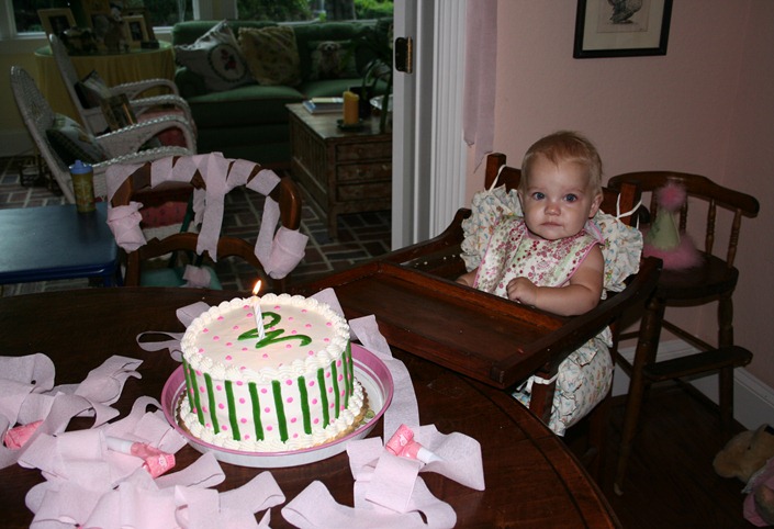 Madalyns 1st Birthday 288
